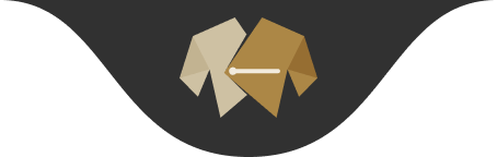 MaedeSeifi